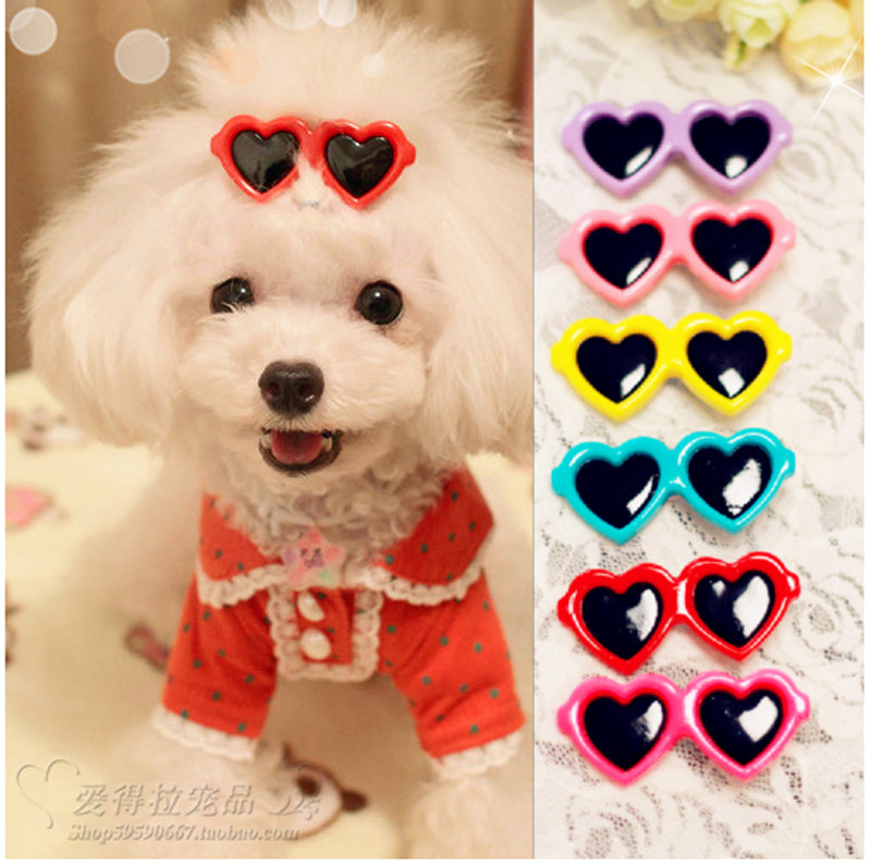 Fashion Style Pet Dog